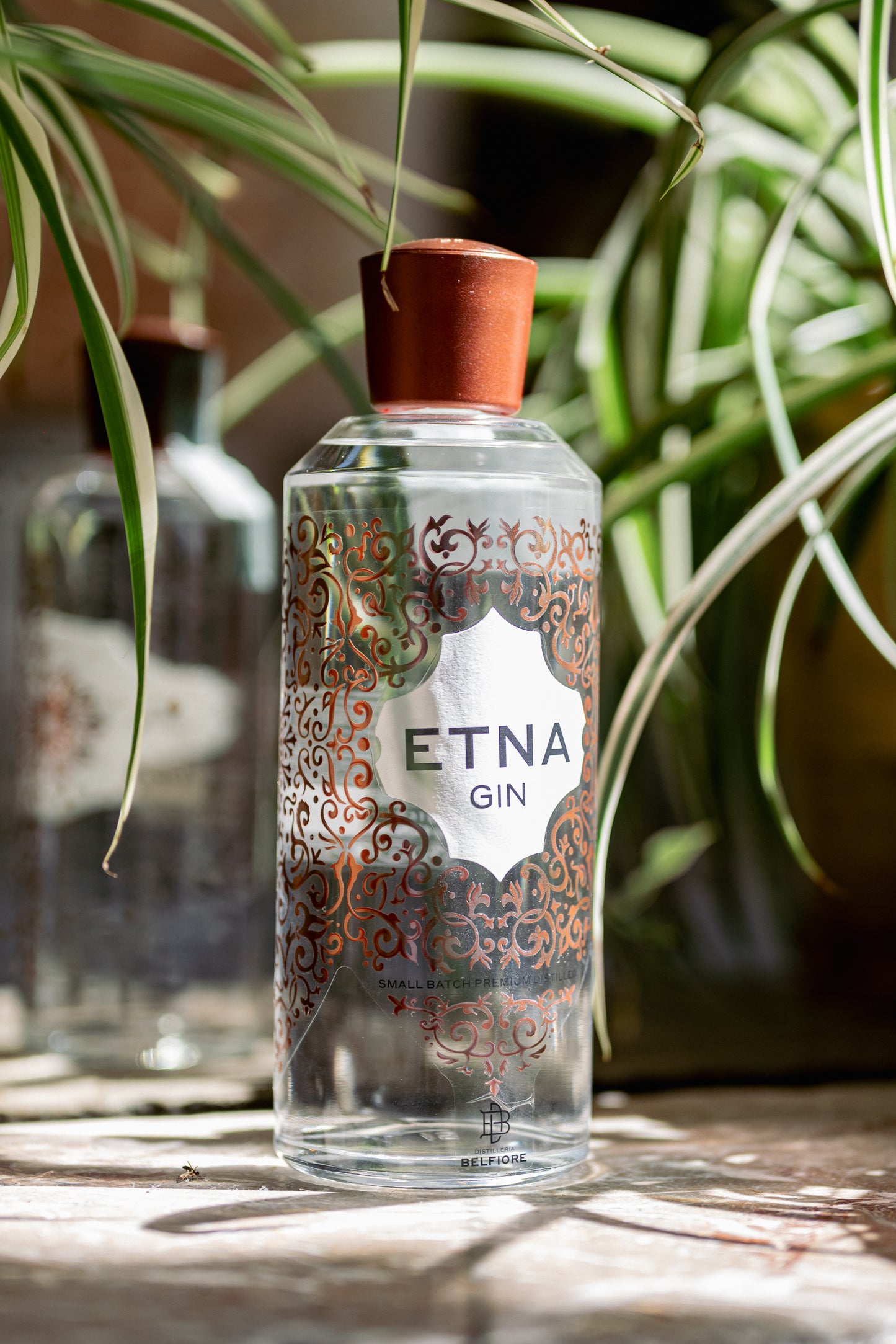 ETNA GIN 40% 70cl