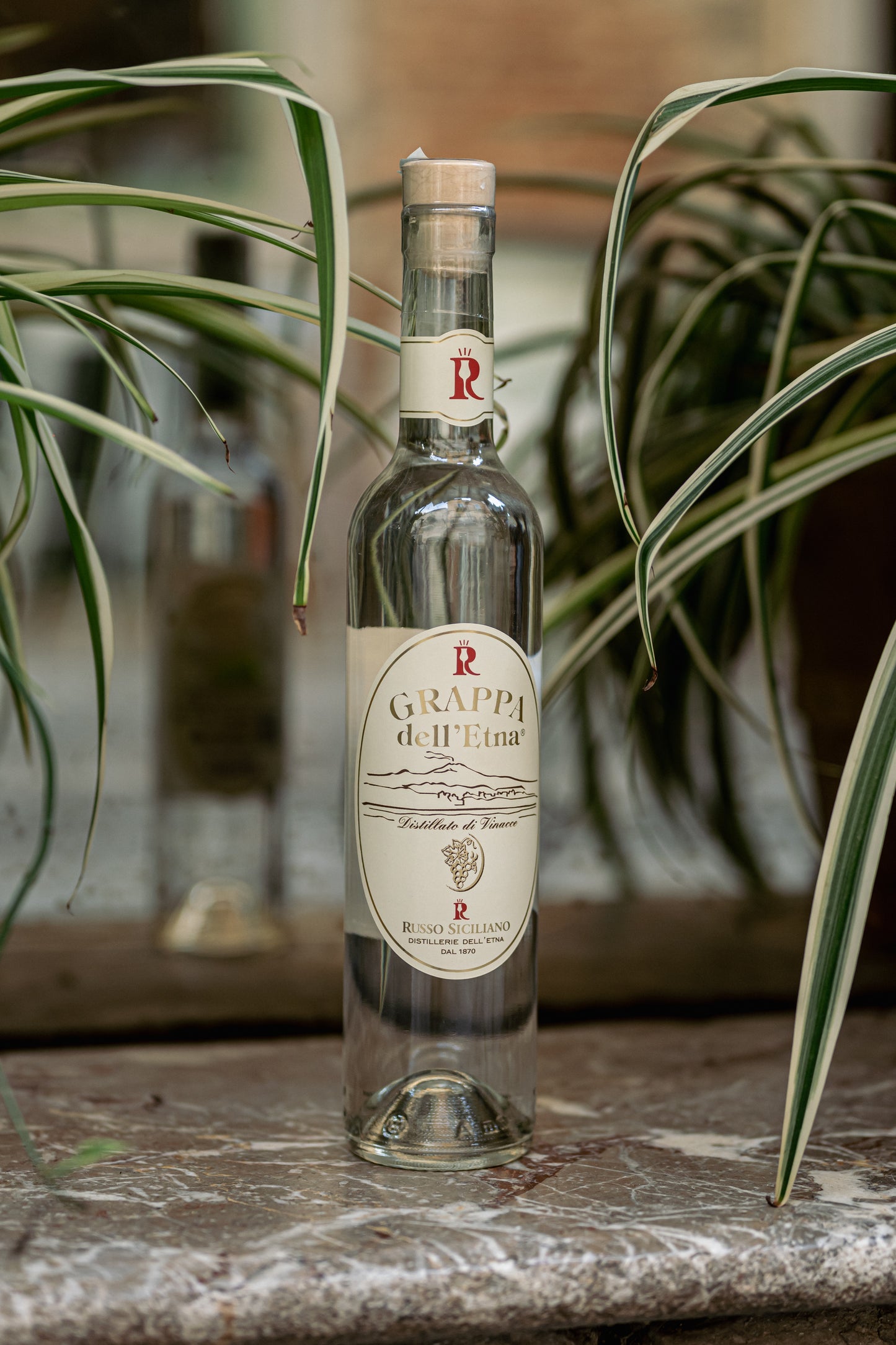 ETNA GRAPPA 40%