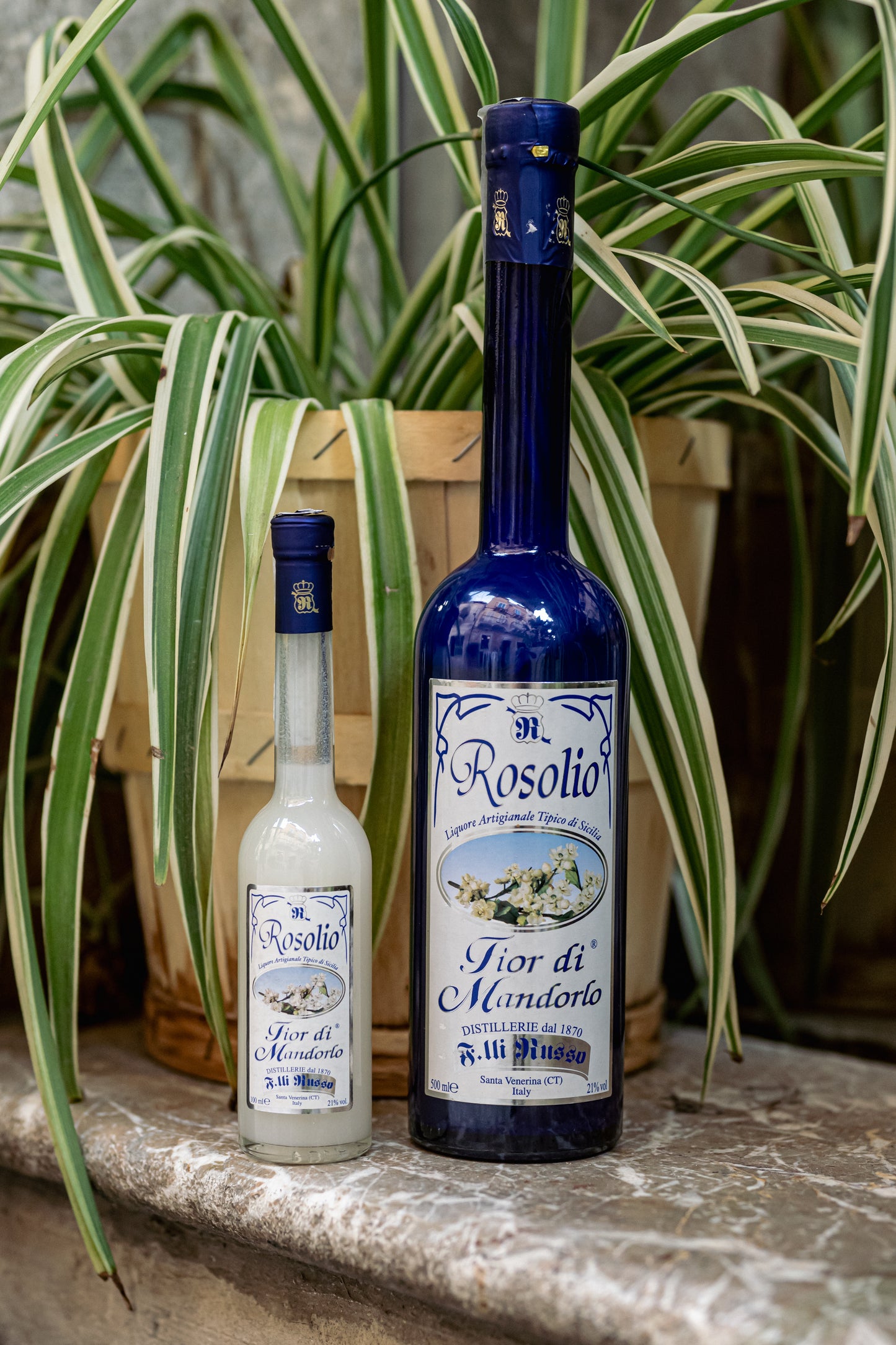 ALMOND FLOWER ROSOLIO 28%